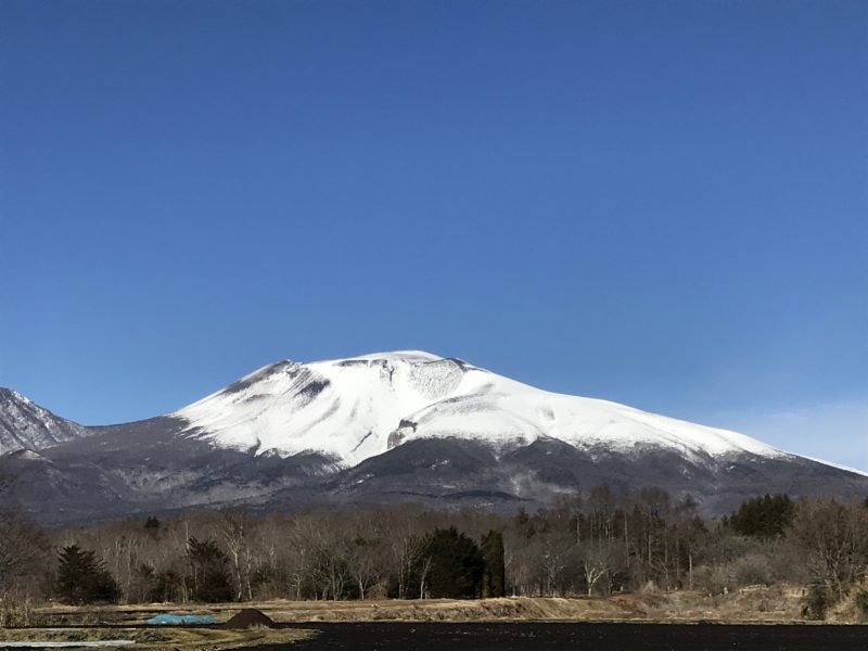 軽井沢の別荘「大きな木かげ」