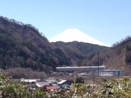 春の富士山