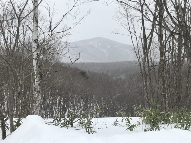 峰の原高原　別荘