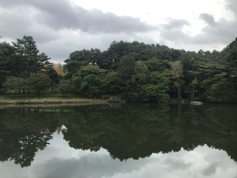 茅野市 岳麓公園「夕映えの池」