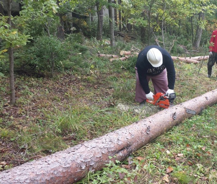 蓼科の別荘地　伐採工事