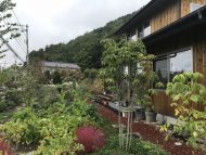 竣工後一年の点検「庭につつまれる家」安曇野市
