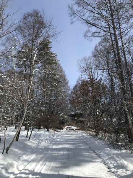 蓼科高原　林建築設計室のアトリエ