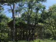 工事自粛期間 軽井沢の別荘「大きな木かげ」
