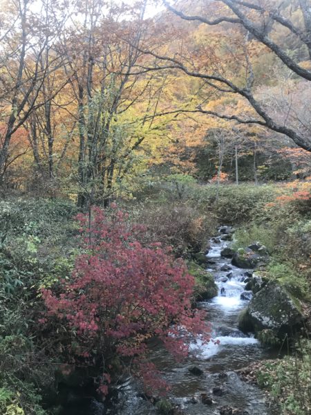 群馬嬬恋から東御市へ