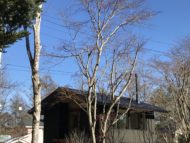 軽井沢の別荘「大きな木かげ」竣工後の１年点検