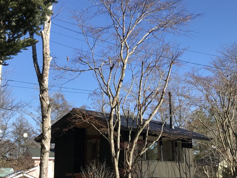 軽井沢の別荘「大きな木かげ」