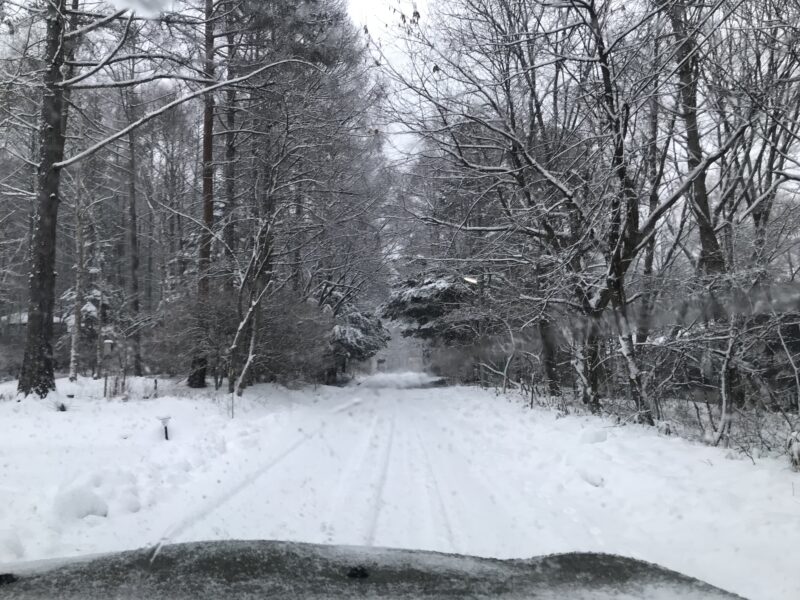 蓼科のアトリエに向かう道路