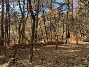 落ち葉の片付け　蓼科アトリエ