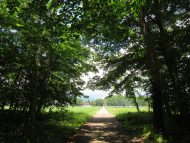 山梨県北杜市清里の敷地へ