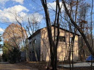 ホオノキの下で