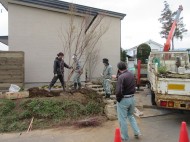 植栽工事を行っています「ふたつの箱の家」松本市