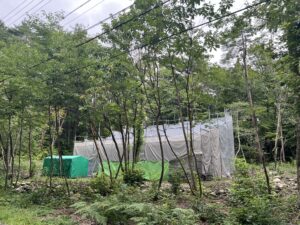 外部足場解体前の確認　大町市の住宅「森の図書館」