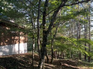 建築相談 蓼科アトリエにて