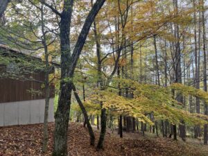 住宅の設計打合せ(青木村)、竣工引渡し(松本市) / 先週末の林建築設計室