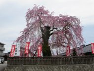 先週末の土日は現場での仕事でした