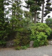 既存の庭を残す住宅の建て替え計画 松本市