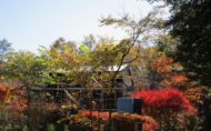 外壁板張りと床板張り 軽井沢の別荘「大きな木かげ」