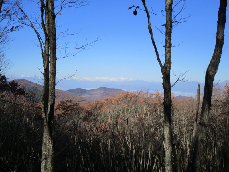 峰の原高原　別荘の設計