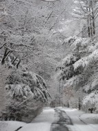 久しぶりの雪 蓼科高原の別荘地域