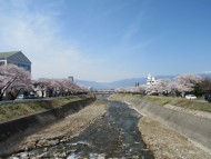 川辺には桜が「川辺のコートハウス」松本市