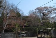 竣工しました「旧軽の別荘リノベーション」軽井沢町