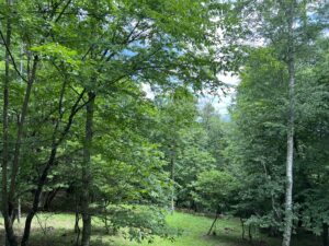 設計打合せ（原村の住宅）/ 蓼科のアトリエ