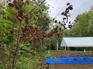 着工しました　原村の別荘「森景の家」
