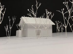 木立ちの家