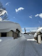 信濃町の積雪