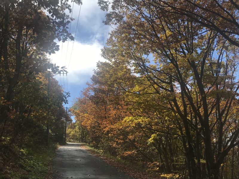 峰の原高原の別荘