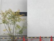 植栽  検査  取扱説明会  家具搬入「街角のコートハウス 」松本市