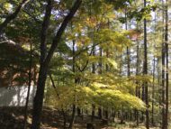 建築相談と建物見学 蓼科のアトリエで