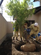 植栽工事「流れのあるコートハウス」松本市