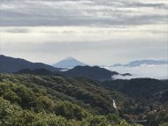 清里の敷地で伐採範囲の確認