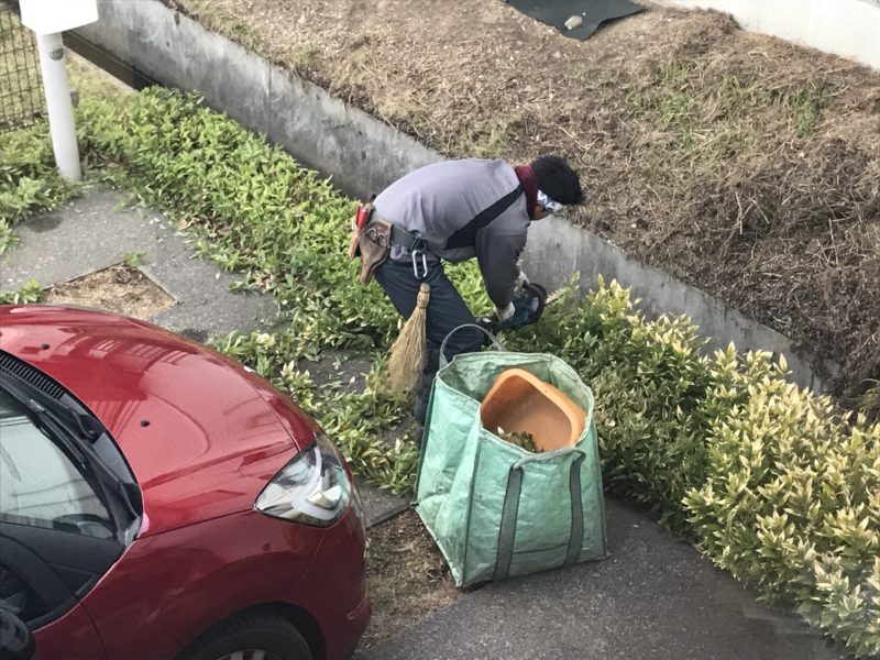 剪定　林建築設計室