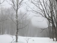 雪の中「雲海の見える家」峰の原高原