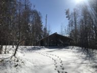 蓼科高原に雪・動物の足跡が