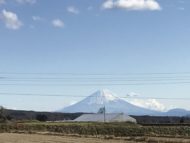 富士山が綺麗に見えた