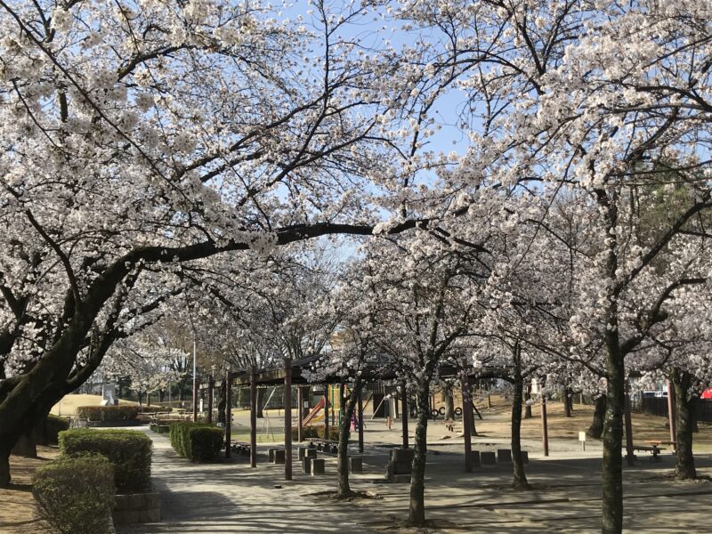 松本市南部公園　2021.4.1